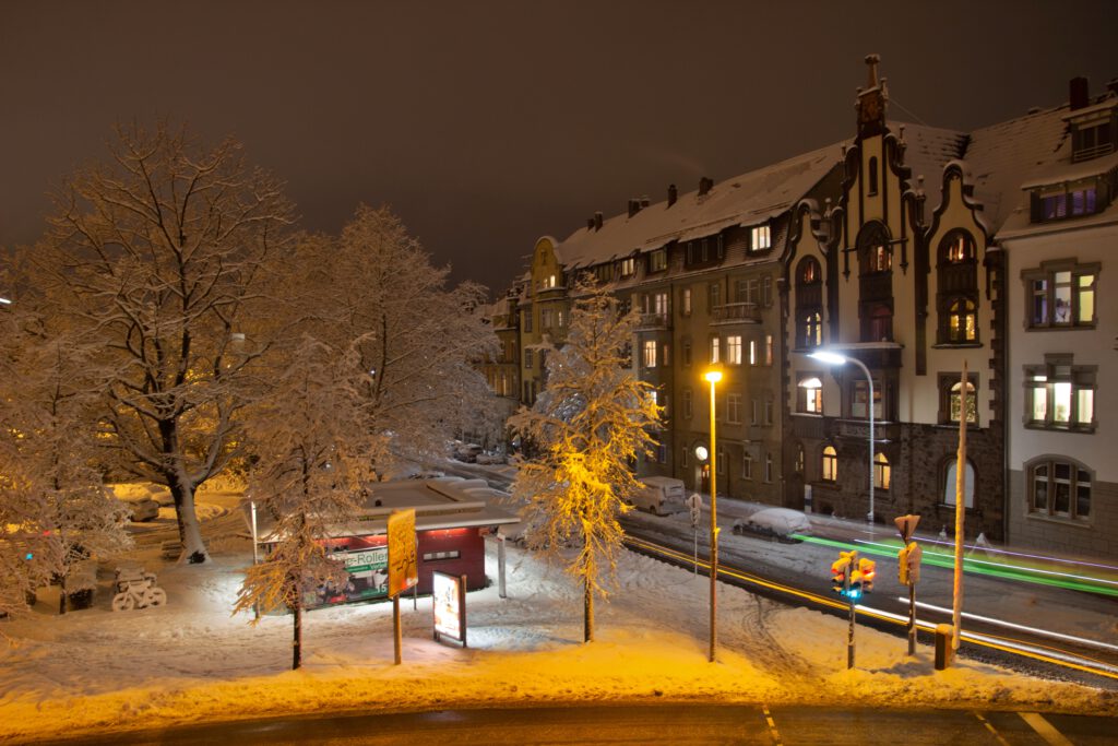 2021.01.14 Winter wonderland Konstanz (24)