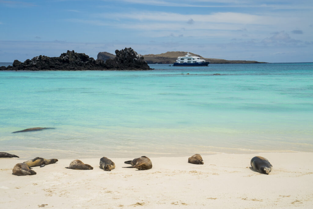 GALAPAGOS