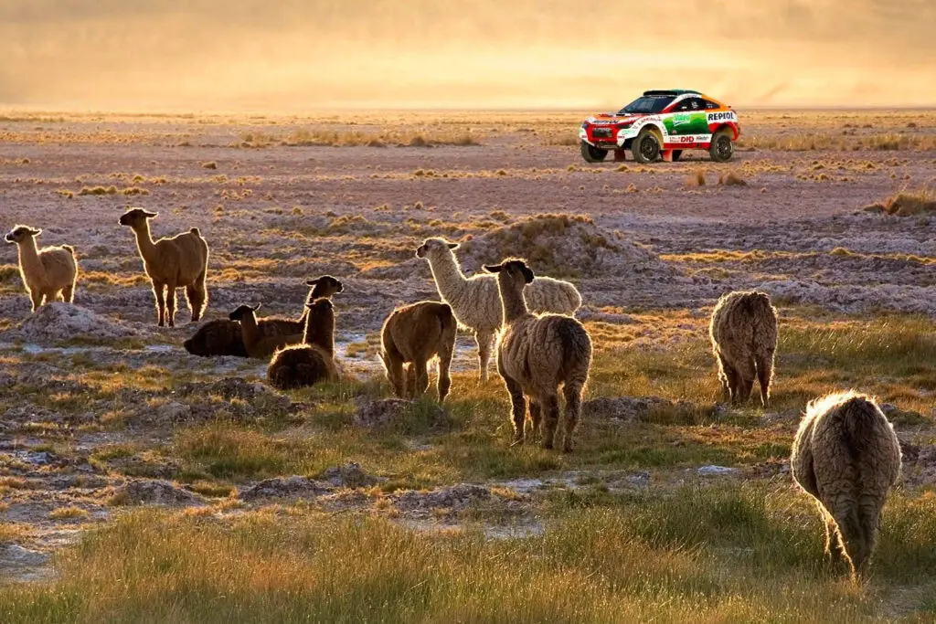 PARQUE NACIONAL AVAROA # (1)