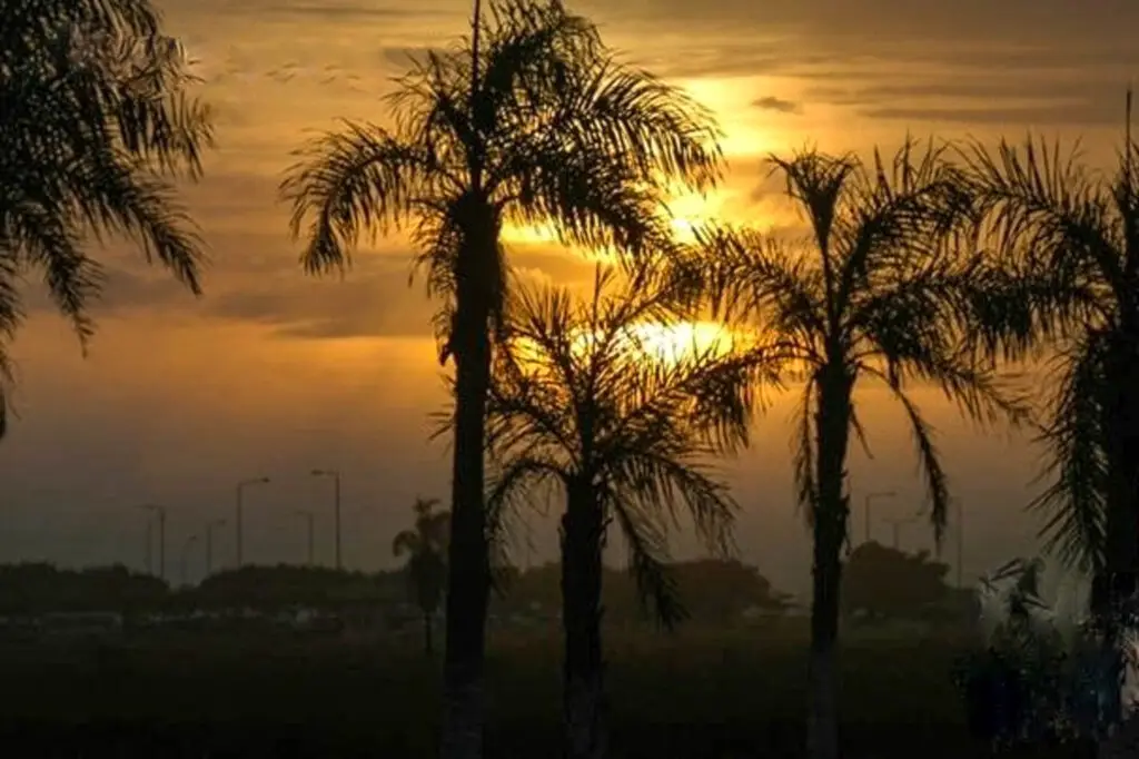 SANTA CRUZ Misiones # (2)